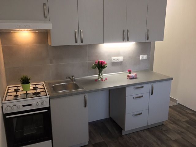 Pronájem bytu 1+1 36 m²